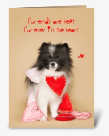 Furends Furever Puppy Hearts Greeting Card - Companion Dog, HD Png Download, Transparent PNG