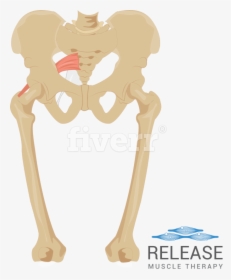 Transparent Skeleton Arm Png - Cartoon, Png Download, Transparent PNG