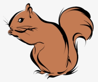 Transparent Chipmunk Png - Squirrel Clipart, Png Download, Transparent PNG