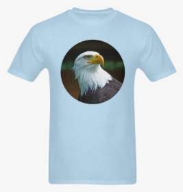 Transparent Bald Eagle Head Png - Bald Eagle, Png Download, Transparent PNG