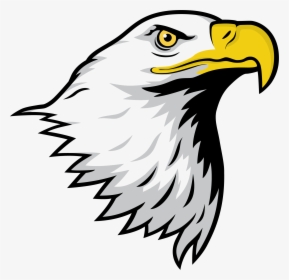 Bald Eagle Head Clipart - Palm Glades Preparatory Academy, HD Png Download, Transparent PNG