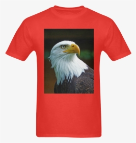 Bald Eagle Head 002 06 Sunny Men S T- Shirt - Bald Eagle, HD Png Download, Transparent PNG