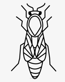 Queen Bee Coloring Page - Queen Bee Colouring Pages, HD Png Download, Transparent PNG