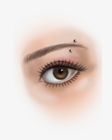 Safe Eyebrow Piercing, Contact Https - Eye Liner, HD Png Download, Transparent PNG