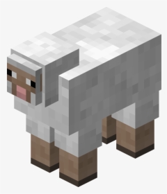 Sheep In Minecraft, HD Png Download, Transparent PNG