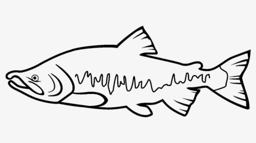 Return To Elwha - Salmon Clipart Black And White, HD Png Download, Transparent PNG