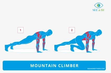 Muscle Group Png - Mountain Climber Muscles Workout, Transparent Png, Transparent PNG