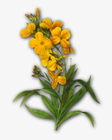 Vintage Yellow Flower Png, Transparent Png, Transparent PNG
