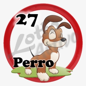 Perro Lotto Activo, HD Png Download, Transparent PNG