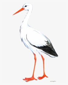 Stork Png - Animated Stork, Transparent Png, Transparent PNG