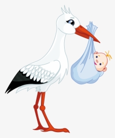 Animated Stork Png Free Download - Stork Carrying Baby, Transparent Png, Transparent PNG