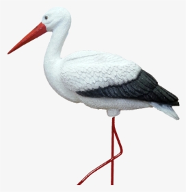 Stork Png - Аист Png, Transparent Png, Transparent PNG