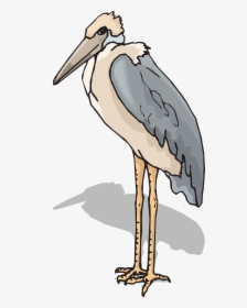 Bird Long Legs Drawings, HD Png Download, Transparent PNG