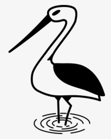Stork, Bird, Nature, White Stork, Poland, Animal, Roam - صور لرسم طيور القلق, HD Png Download, Transparent PNG