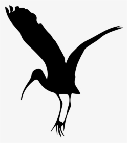 Bird Stork Shape - Stork Shape, HD Png Download, Transparent PNG