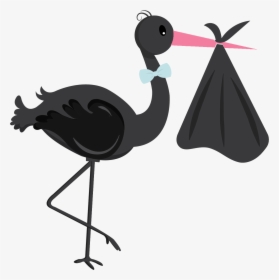 Transparent Stork Png - Flightless Bird, Png Download, Transparent PNG