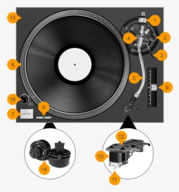 Image Library Library Record Player Png - Vinyl Record Anatomy, Transparent Png, Transparent PNG