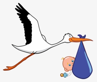 Stork Png, Transparent Png, Transparent PNG