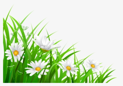 Transparent Grass - Открытки С Добрыми Пожеланиями Скачать Бесплатно, HD Png Download, Transparent PNG