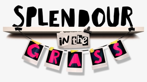 Pcfml @ Splendour In The Grass, HD Png Download, Transparent PNG