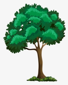 Tall Clipart Apple Tree - Old Tree House Cartoon, HD Png Download, Transparent PNG