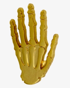 Gold Skeleton Hand Png, Transparent Png, Transparent PNG