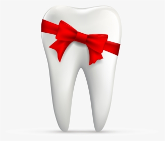 Human Tooth Euclidean Vector - Png Tooth With Ribbon, Transparent Png, Transparent PNG