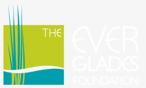 Everglades Foundation Logo, HD Png Download, Transparent PNG