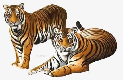Tigers Clipart Png, Transparent Png, Transparent PNG