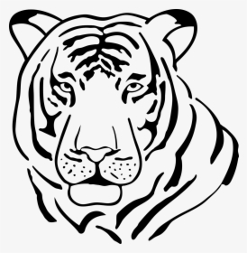 Black Vector White Tiger - Tiger Symmetry Worksheet, HD Png Download, Transparent PNG