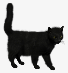 Black Cat Clipart - Black Cat Png, Transparent Png, Transparent PNG