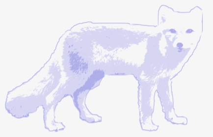 Arctic Wolf Arctic Fox Clipart, HD Png Download, Transparent PNG