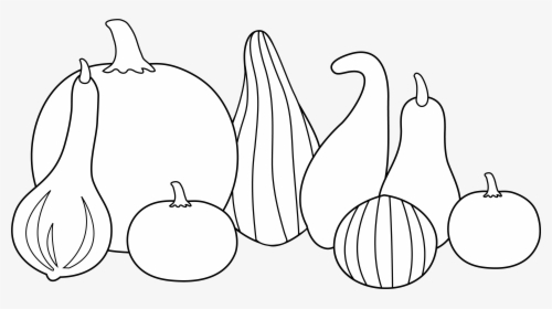 Thanksgiving Clipart Gourd - Clip Art, HD Png Download, Transparent PNG