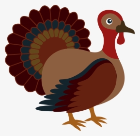 Thanksgiving Clipart Turkey - Thanksgiving Vector, HD Png Download, Transparent PNG