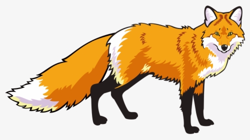 Swift-fox - Red Fox Standing, HD Png Download, Transparent PNG