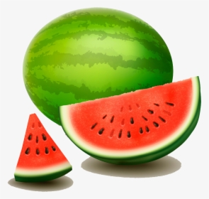 Citrullus Lanatus Drawing Photography Watermelon Illustrator - Drawing Watermelon Png Hd, Transparent Png, Transparent PNG