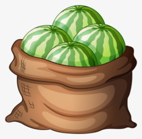 Buy A Sack Of Fresh Watermelons By Interactimages On - Sack Of Watermelon Clipart, HD Png Download, Transparent PNG