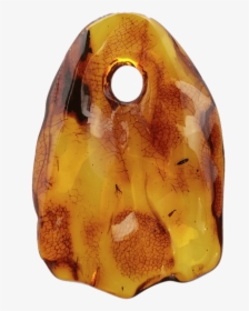Amber Pendant With Small Insect - Carved Amber Pendant, HD Png Download, Transparent PNG