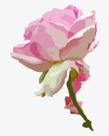 Rose, Blossom, Bloom, Rose Bloom, Flower, Queen, Tender - Rose Bloom Png, Transparent Png, Transparent PNG