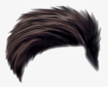 Emo cabelo PNG Download Imagem