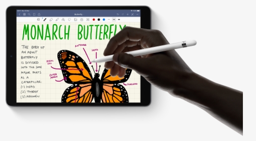 Transparent Ipad Air Png - Apple Pencil Ipad Air 2019, Png Download, Transparent PNG