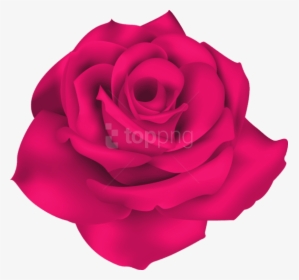 Single Png Rose Petals, Transparent Png, Transparent PNG