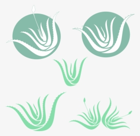 Aloe Vera Silhouette, HD Png Download, Transparent PNG