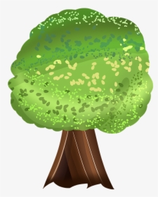 Tree, Big Trees, Forest, Leaf, Big Woods, Banyan - Illustration, HD Png Download, Transparent PNG