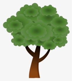 A Simple Tree - Free Tree Canopy Clipart, HD Png Download, Transparent PNG