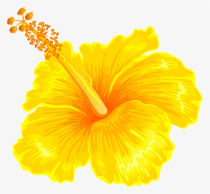 Hibiscus Clipart Yellow, HD Png Download, Transparent PNG