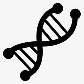Transparent Science Icon Png - Genetic Icon, Png Download, Transparent PNG