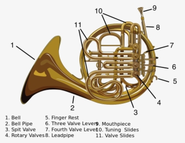 File - Carynprice-french Horn - Svg - Alat Musik Modern - Parts Of A Double French Horn, HD Png Download, Transparent PNG