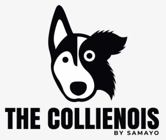 The Collienois - Mcnab, HD Png Download, Transparent PNG