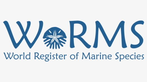 Worms Editorial Board - Worms World Marine Register Species, HD Png Download, Transparent PNG